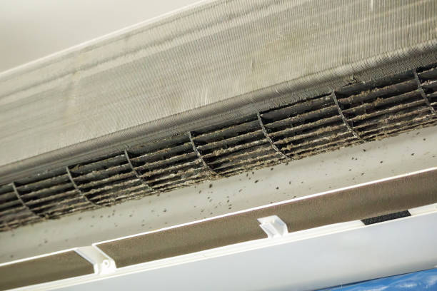 Best Air Duct Cleaning Near Me  in Lynbrook, NY